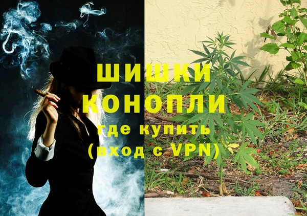 гидра Карталы